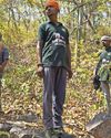 India's elephant warning system tackles deadly conflict India's elephant warning system tackles deadly conflict