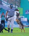 K9 dogs steal hearts at Dubai Police skill show K9 dogs steal hearts at Dubai Police skill show