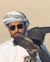 Falcons with passports, on own plane seats? A peek into a falconer's world11