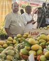 Mango fest showcases over 35 locally grown varieties8