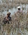 Pakistan floods batter fields, factories and fiscal plans22