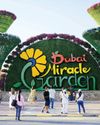 150m flowers bloom as Miracle Garden opens11