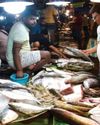 Bangladesh deploys warships to protect prized hilsa fish35