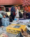 Pakistan, Afghanistan say their forces killed dozens in clashes35