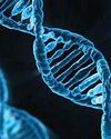Over 800,000 samples collected under Emirati Genome Programme1