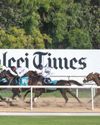 DRC announces partners for Dubai Racing Carnival36