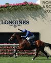 Dubai-owned gallopers look to steal the spotlight on British Champions Day39