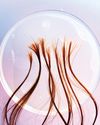 What your hair can tell you about your health19