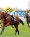 Sheikh Rashid's Powerful Glory steals the show at Ascot Racecourse33