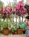 India's pollution refugees fleeing Delhi's toxic air26