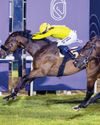 Trainer Costa signals intent with fantastic start in UAE flat racing season opener45