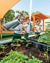 The benefits of early learning in a Reggio Emilia setting8