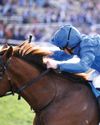 A 'notable' statement from Godolphin as Forever Young makes history41