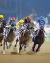 Dubai Racing Carnival returns with star power and fresh stories41