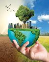 From Host to Influencer: How the UAE is Steering the Next Chapter of Global Climate Action14