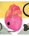 How emotions can affect the heart How emotions can affect the heart11