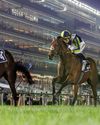 Seemar and O’Shea dominate Dubai Racing Carnival at Meydan48
