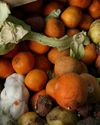 Emirati woman turns food waste into one million meals7