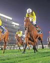 High-octane Racing Carnival showdown awaits in Meydan's Ras Al Khor Stakes55