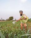 A Harsh Harvest Outlook