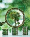 Green Investments26