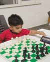 Three-year-old stuns chess world17