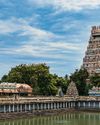 Chidambaram & Pichavaram9