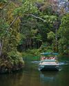 DAINTREE DREAMING16