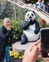 Hong Kong 101: Travel Tips6