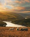 Life At The Edge Of The UK's First National Park Life At The Edge Of The UK's First National Park20