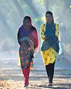 7k steps a day enough to mitigate key health concerns: Study2