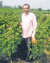 Unravelling Bt bind: Indigenous cotton weaves a new future for agriculturists5