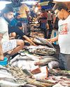 B'desh deploys warships, aircraft to guard hilsa from illegal fishing18