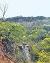 Before row, work began to map Aravalli by new rule5