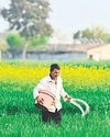Hindustan Times Amritsar