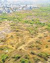 Can't destroy forests in name of sustainable development: SC Can't destroy forests in name of sustainable development: SC16