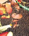 A rot to answer for: Unpacking global food loss and waste38