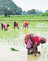 PM KISAN SAMMAN NIDHI 6.3 lakh to benefit in Prayagraj; disbursal soon7