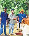 Mega vax drive launched to protect animals1