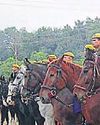 US, UK and Indian breed horses to aid cops in mela crowd management