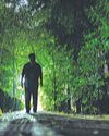 Areas across south Delhi left in dark as streetlights repair work hits roadblock21
