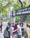 Delhi zoo reopens to huge rush after 2-month hiatus Delhi zoo reopens to huge rush after 2-month hiatus14
