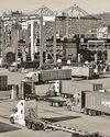 Need a stronger WTO to fight Trump’s trade pivot Need a stronger WTO to fight Trump’s trade pivot48