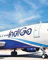 IndiGo's Q3 profit plunges 75%9