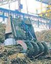 Sugarcane farmers may get a sweet deal Sugarcane farmers may get a sweet deal3