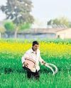 Fertiliser output falls to five-year low in March33