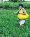 ‘Heatwaves will become major threat to rice, agri labour’28