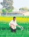 Fertiliser output falls to five-year low in March37