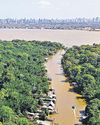 COP30 host Brazil launches key forest conservation fund20