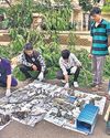 45 herons die in Thane hsg soc’s tree-trimming exercise5